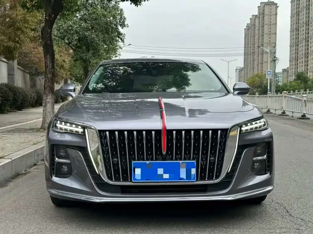 Hongqi H5 2023 из CN, фото 2