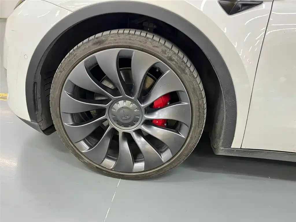 Tesla Model Y — фото 10