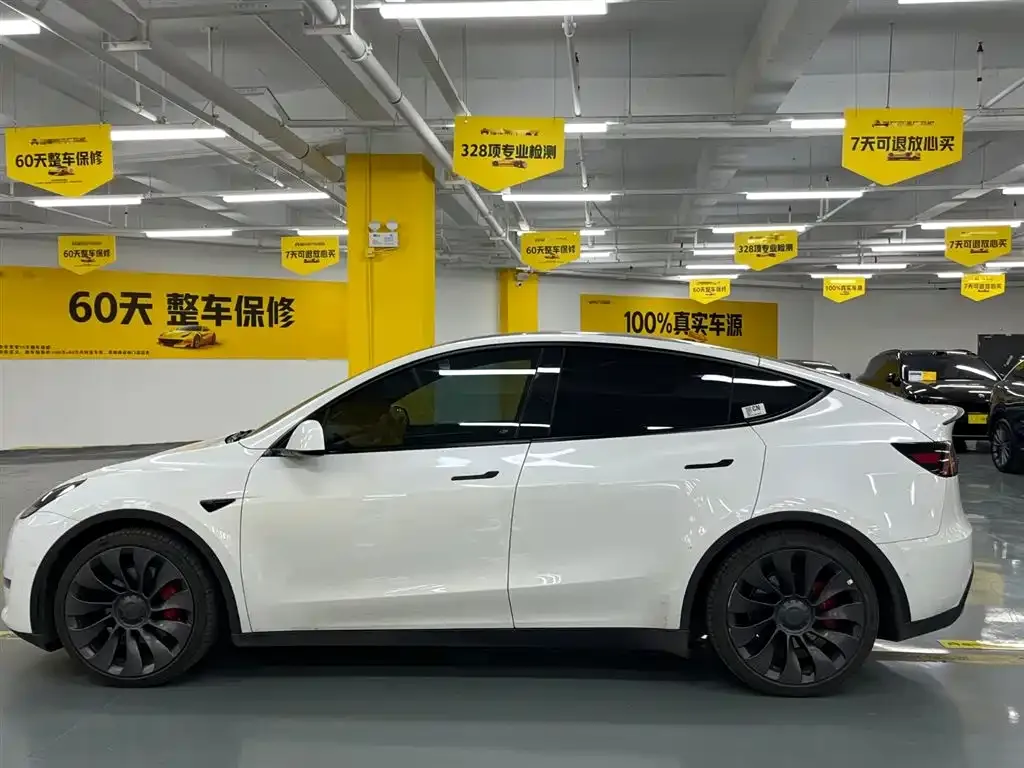 Tesla Model Y — фото 3