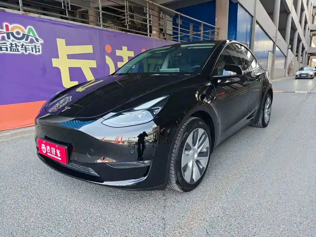 Tesla Model Y 2021 из CN, фото 1
