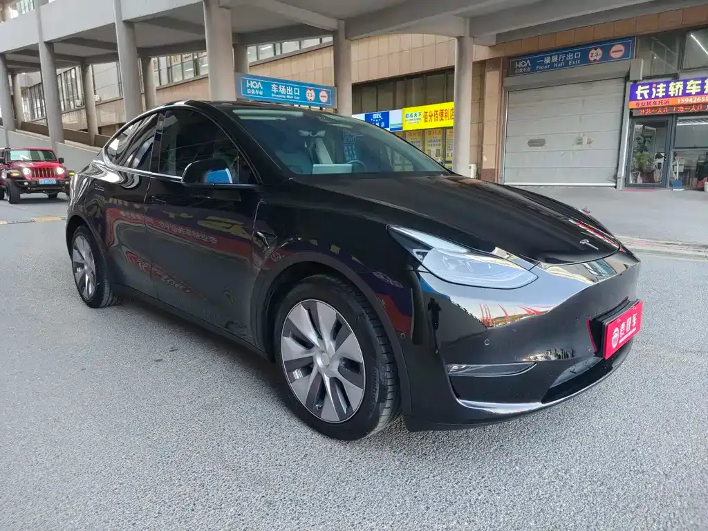 Tesla Model Y 2021 из CN, фото 3