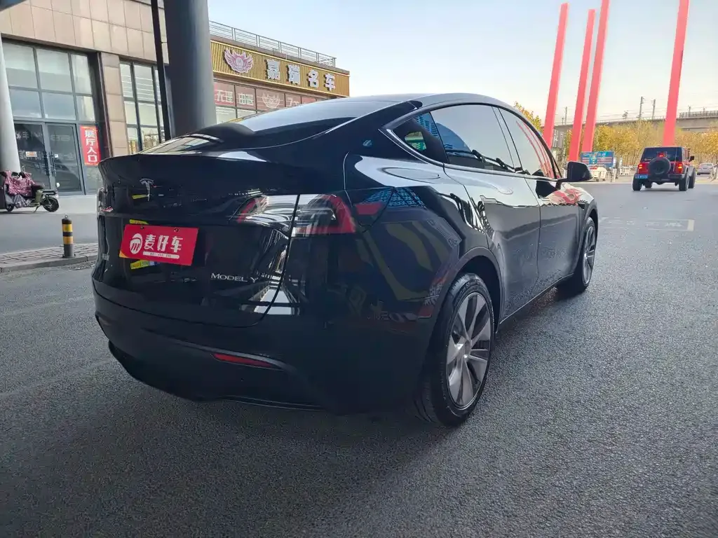 Tesla Model Y 2021 из CN, фото 4
