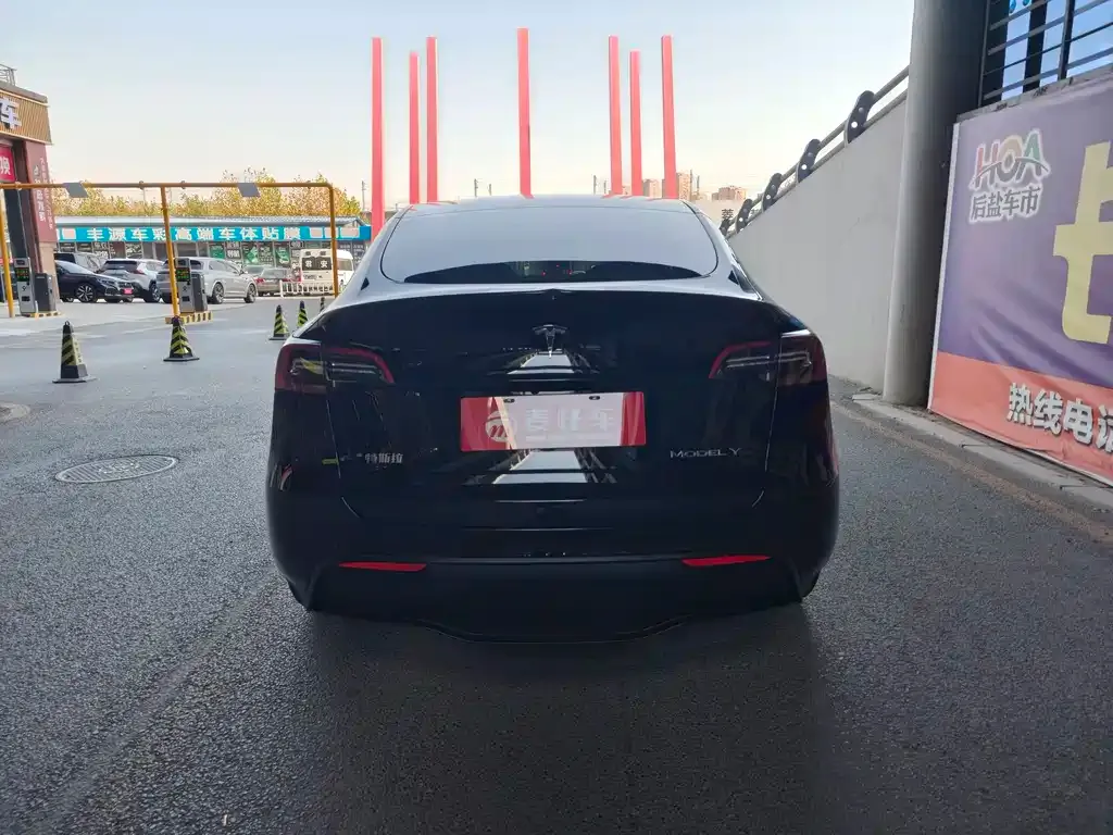 Tesla Model Y 2021 из CN, фото 5