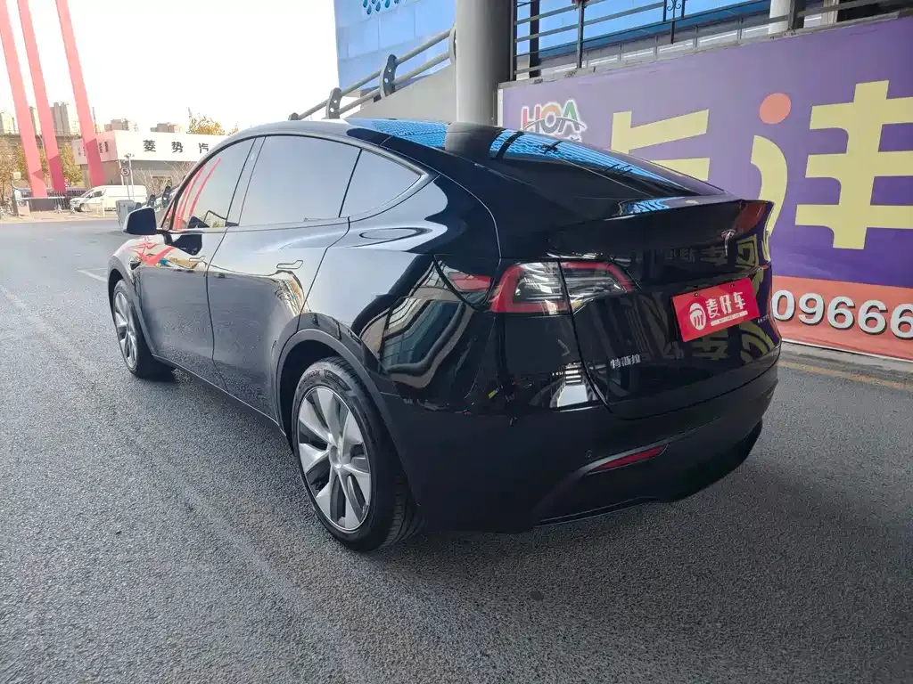 Tesla Model Y 2021 из CN, фото 6