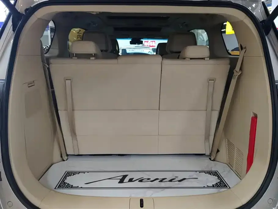 Buick GL8 2024 из CN, фото 4