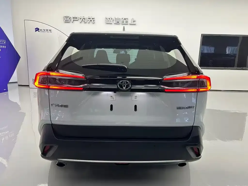 Toyota Wildlander 2023 из CN, фото 3