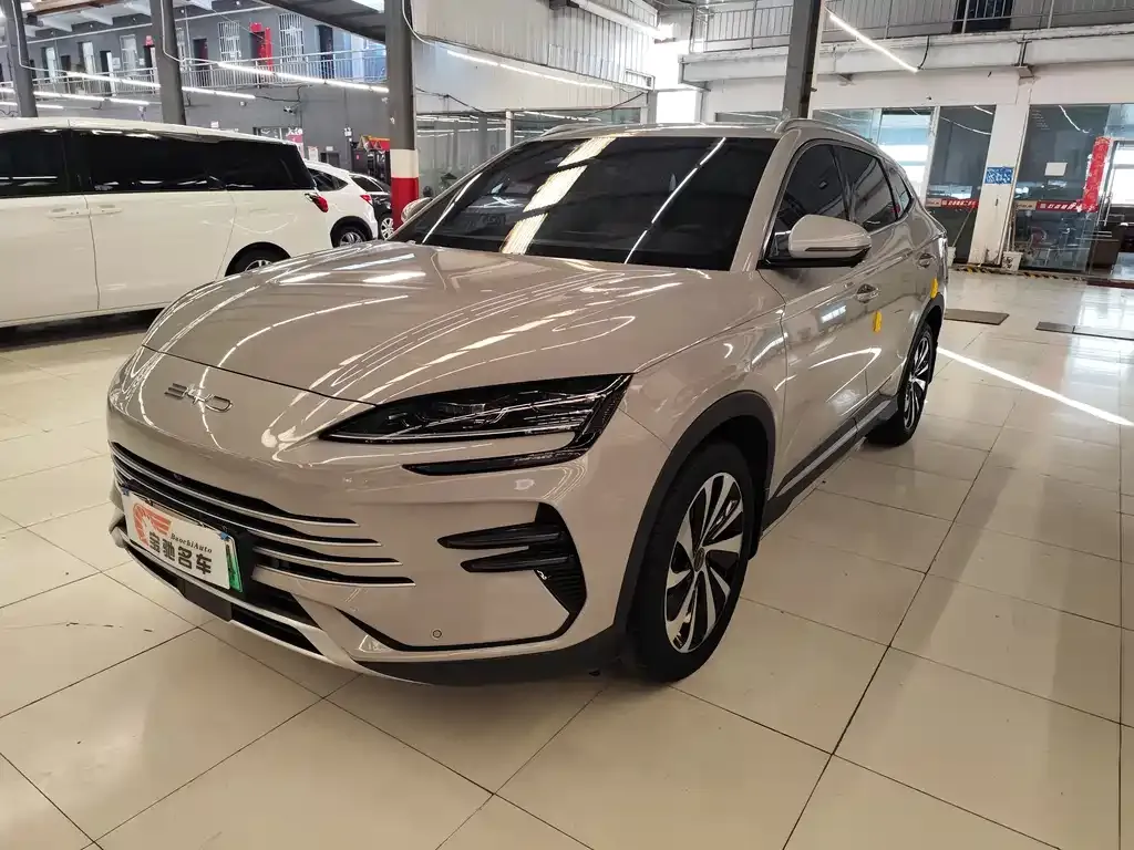 BYD PLUS New Energy — фото 1