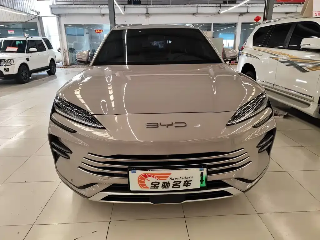 BYD PLUS New Energy — фото 2