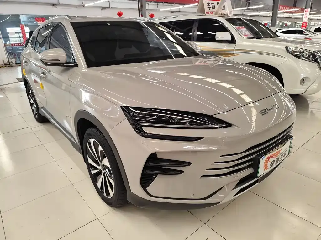 BYD PLUS New Energy — фото 3