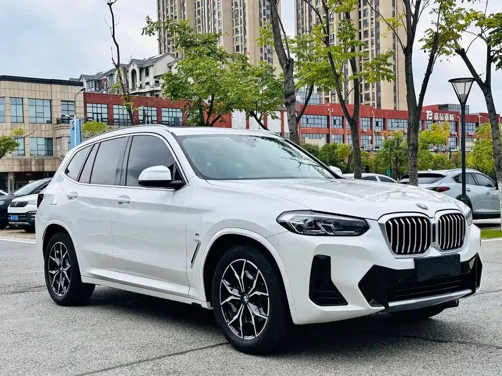 BMW X3 2021 из CN, фото 3