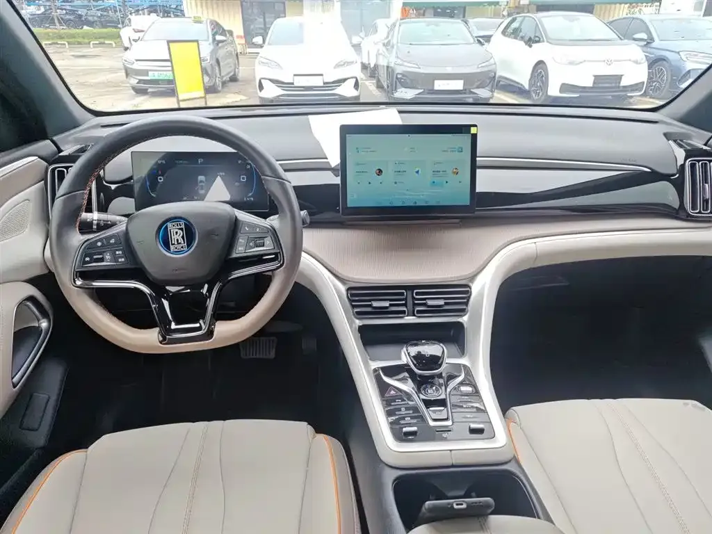 BYD Pro New Energy 2024 из CN, фото 10