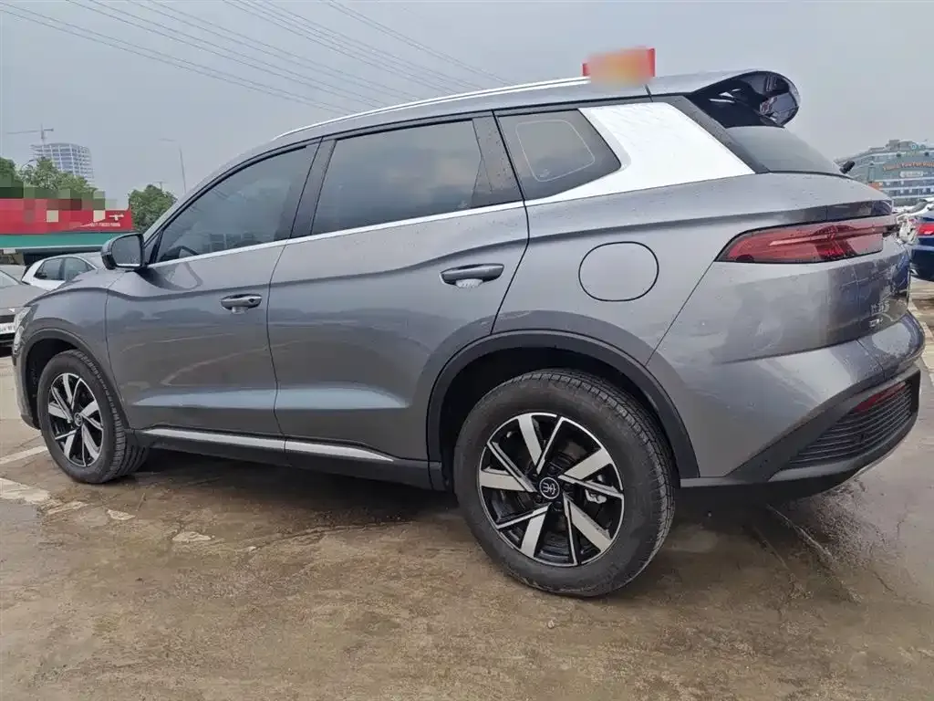 BYD Pro New Energy 2024 из CN, фото 5