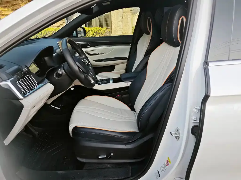 BYD PLUS New Energy — фото 10
