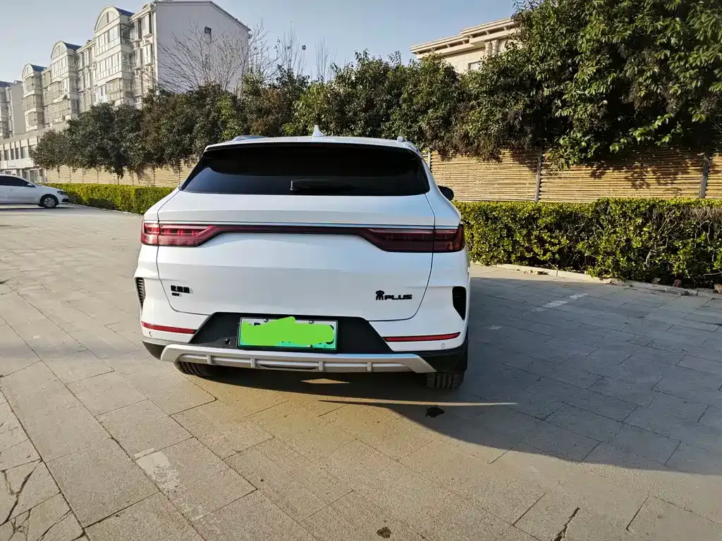 BYD PLUS New Energy — фото 4