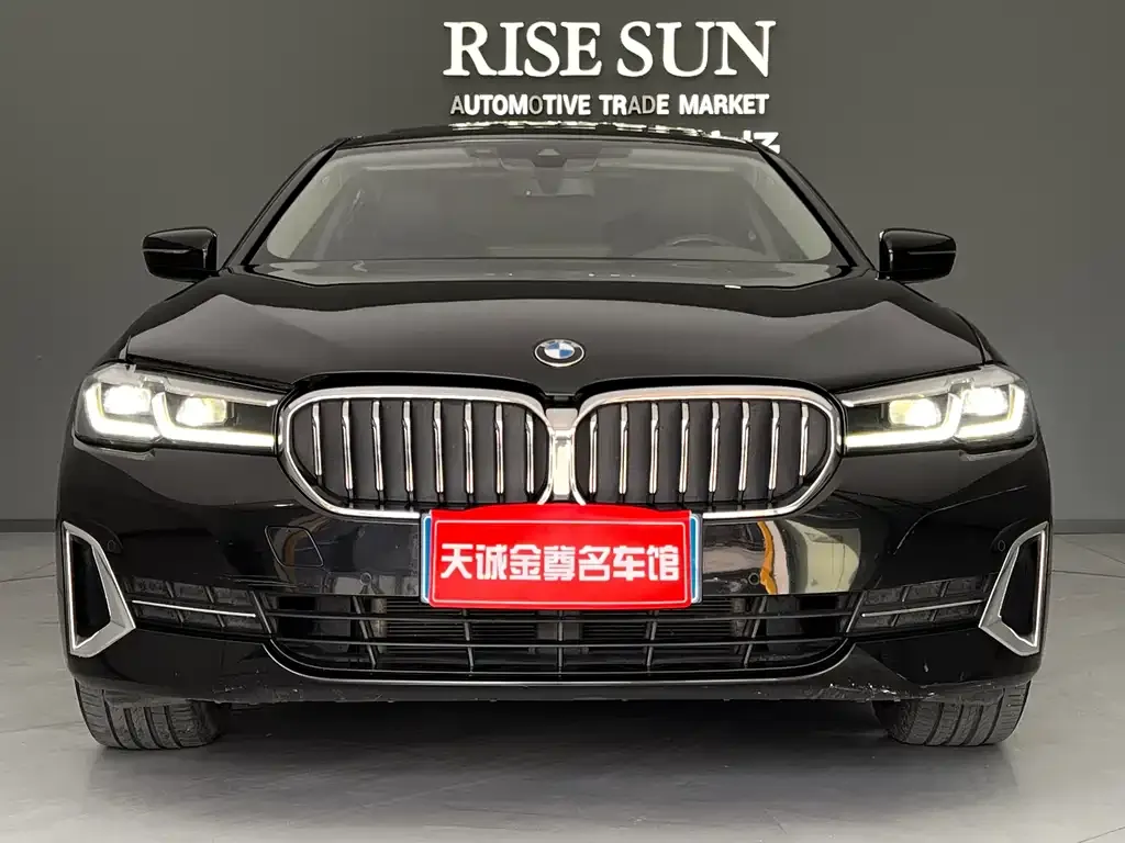 BMW 5 Series 2023 из CN, фото 2