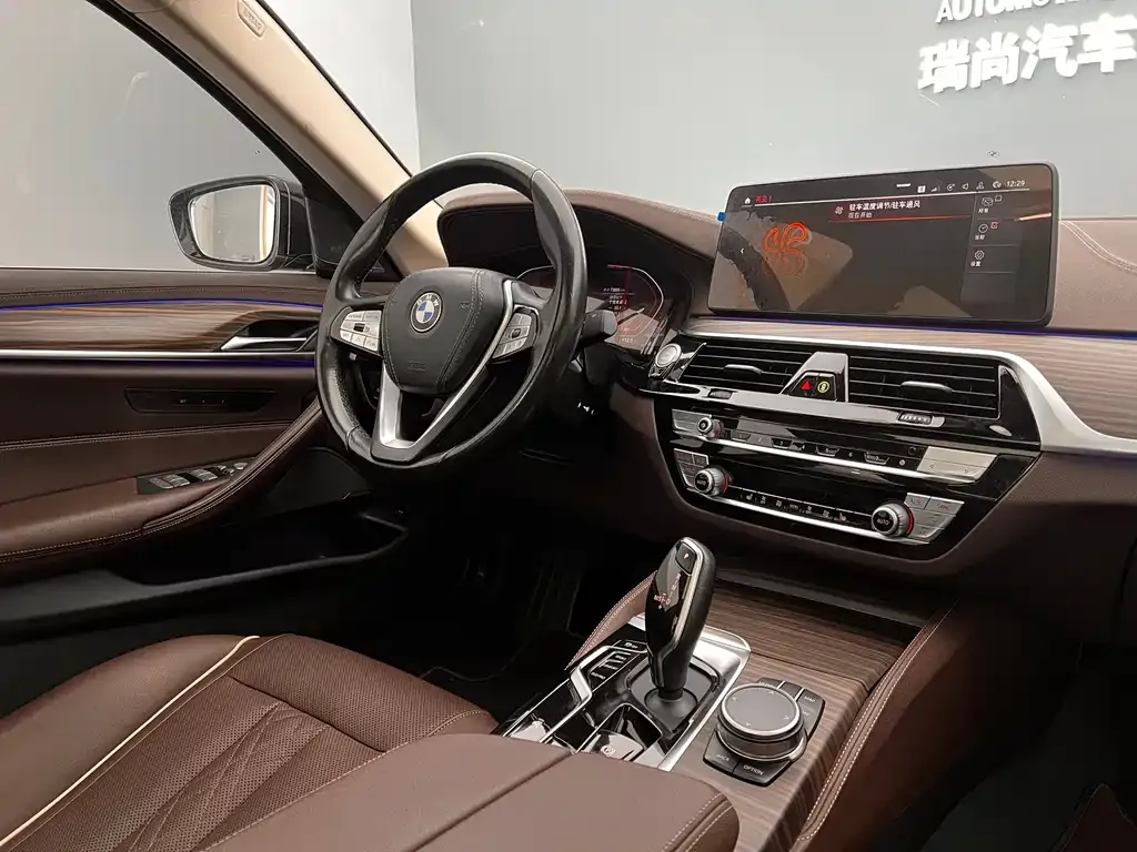 BMW 5 Series 2023 из CN, фото 6