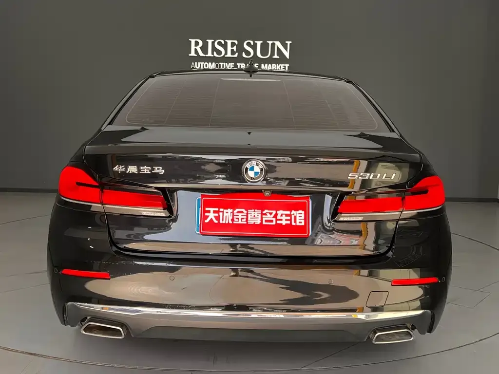 BMW 5 Series 2023 из CN, фото 8