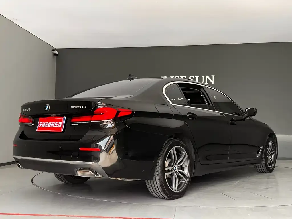 BMW 5 Series 2023 из CN, фото 9