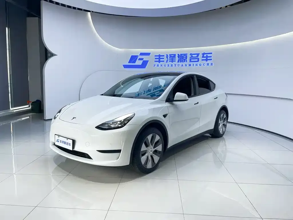 Tesla Model Y 2023 из CN, фото 1