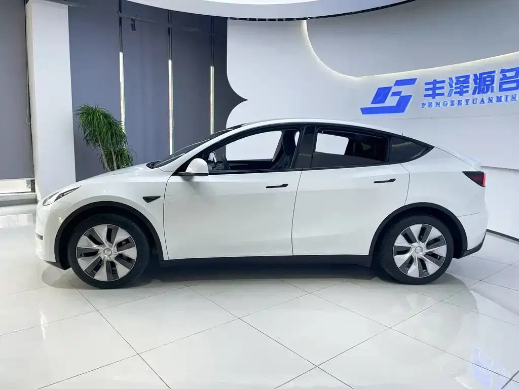 Tesla Model Y 2023 из CN, фото 3