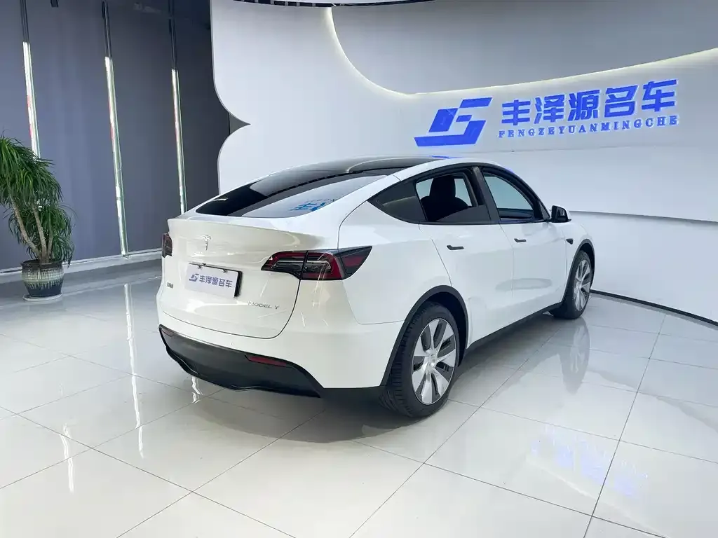 Tesla Model Y 2023 из CN, фото 4