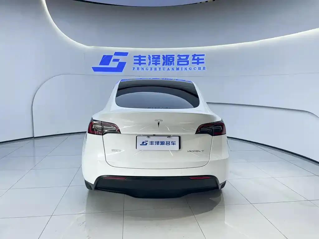 Tesla Model Y 2023 из CN, фото 5