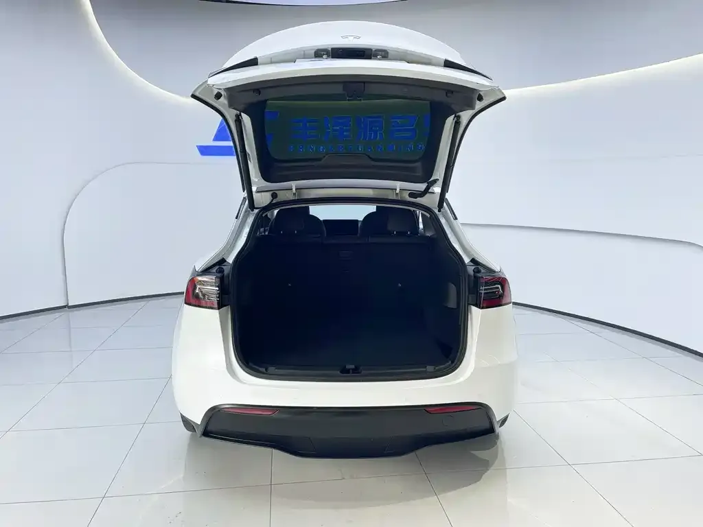 Tesla Model Y 2023 из CN, фото 6