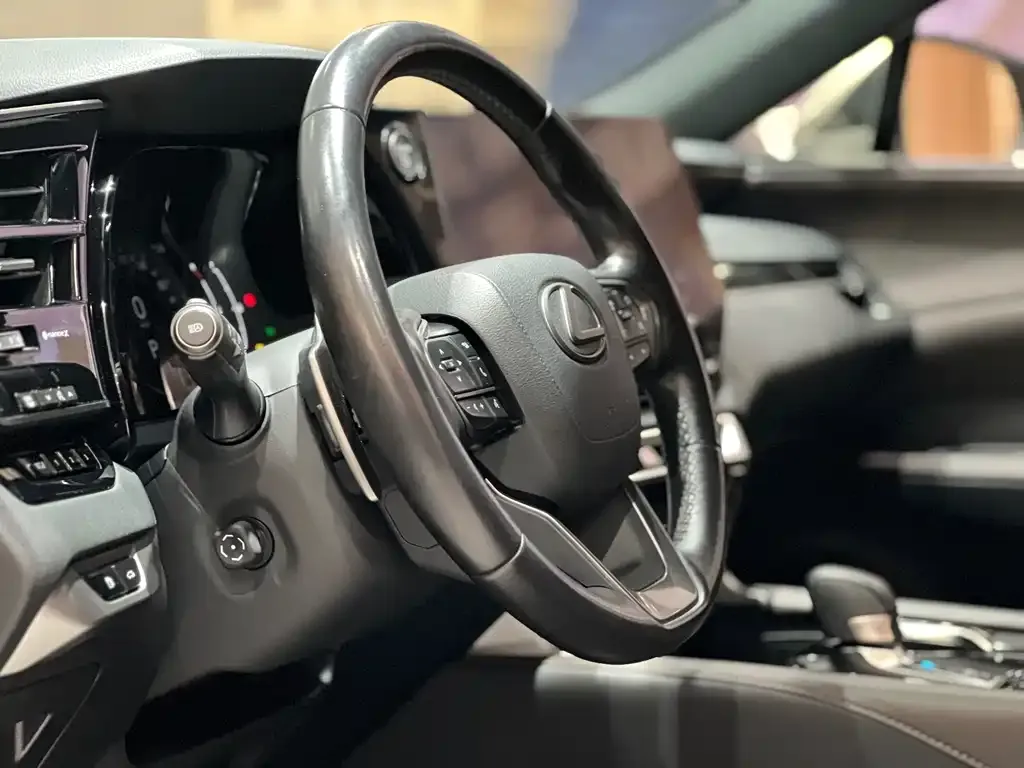 Lexus RX 2023 из CN, фото 10