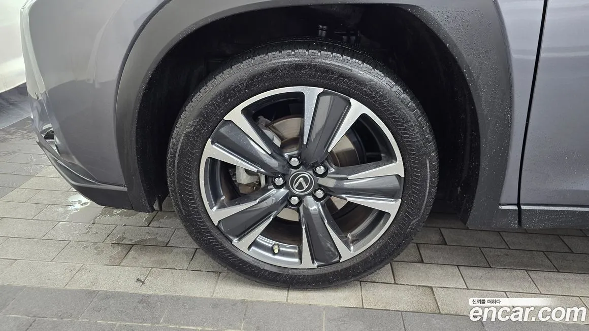 Lexus UX 2021 из KR, фото 5