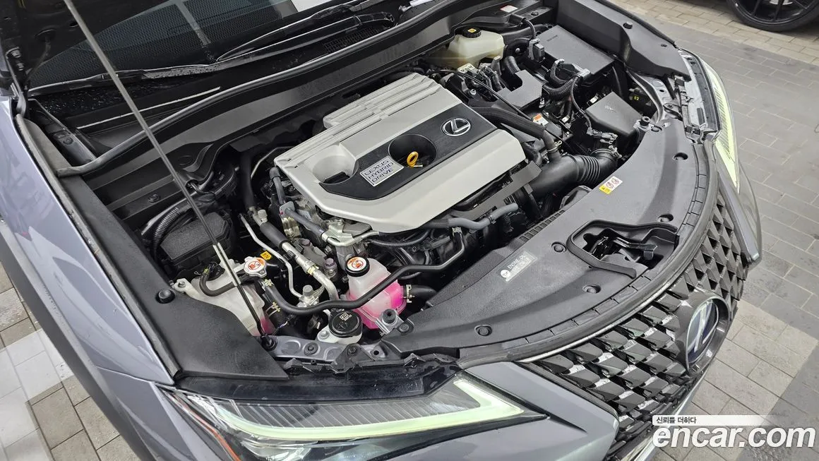 Lexus UX 2021 из KR, фото 6