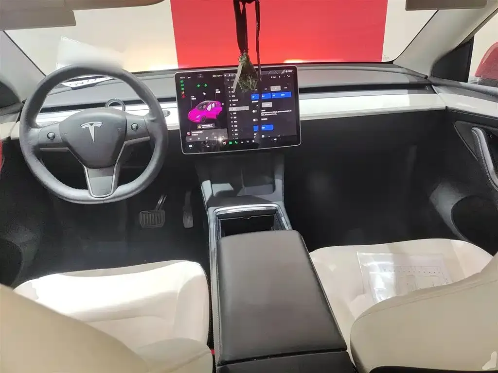 Tesla Model Y 2021 из CN, фото 10