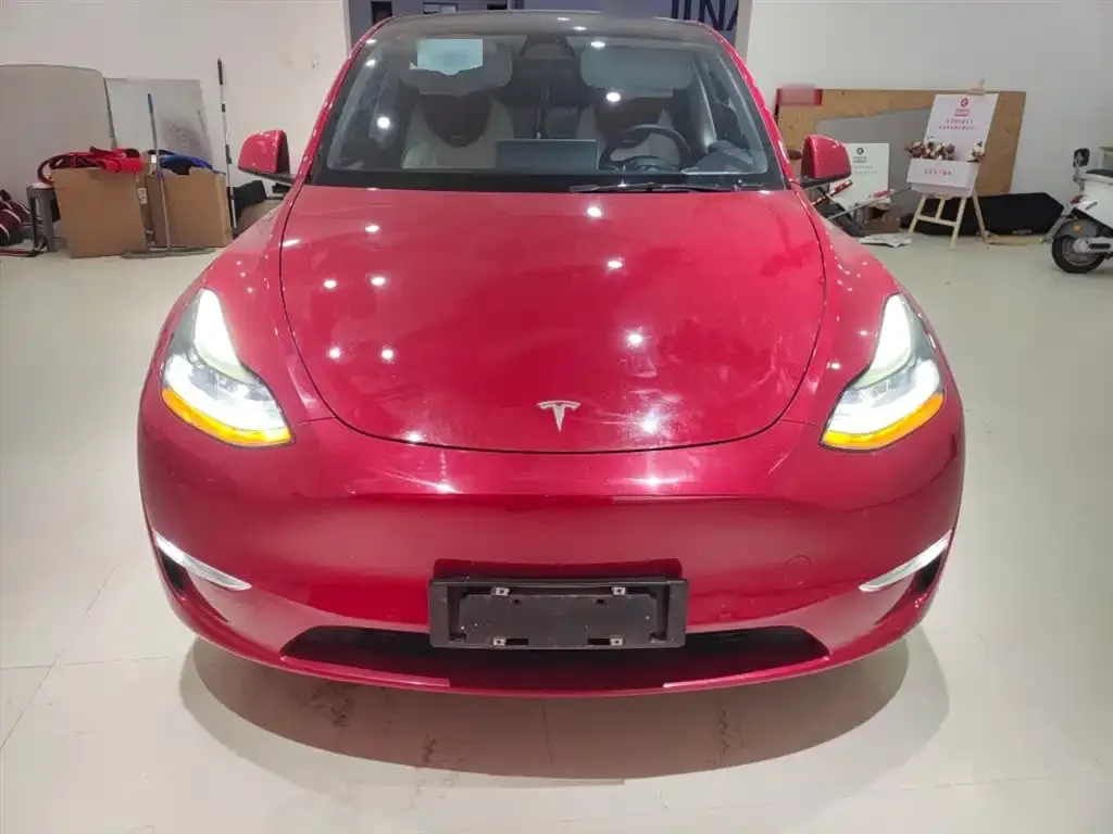 Tesla Model Y 2021 из CN, фото 3