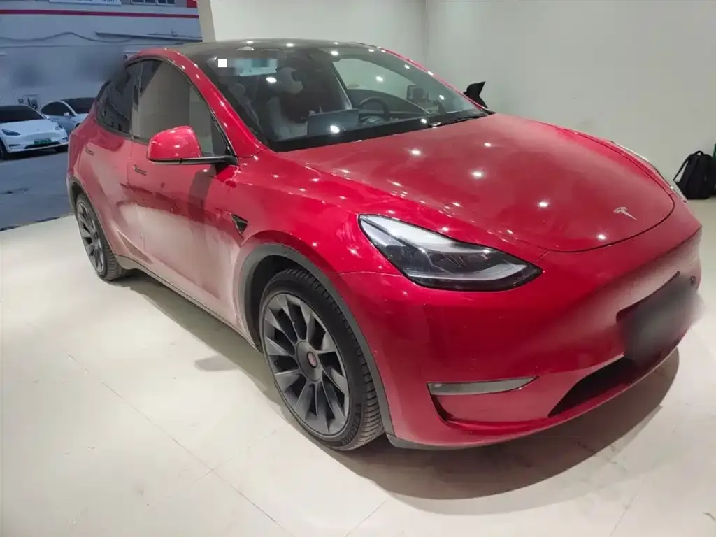 Tesla Model Y 2021 из CN, фото 4
