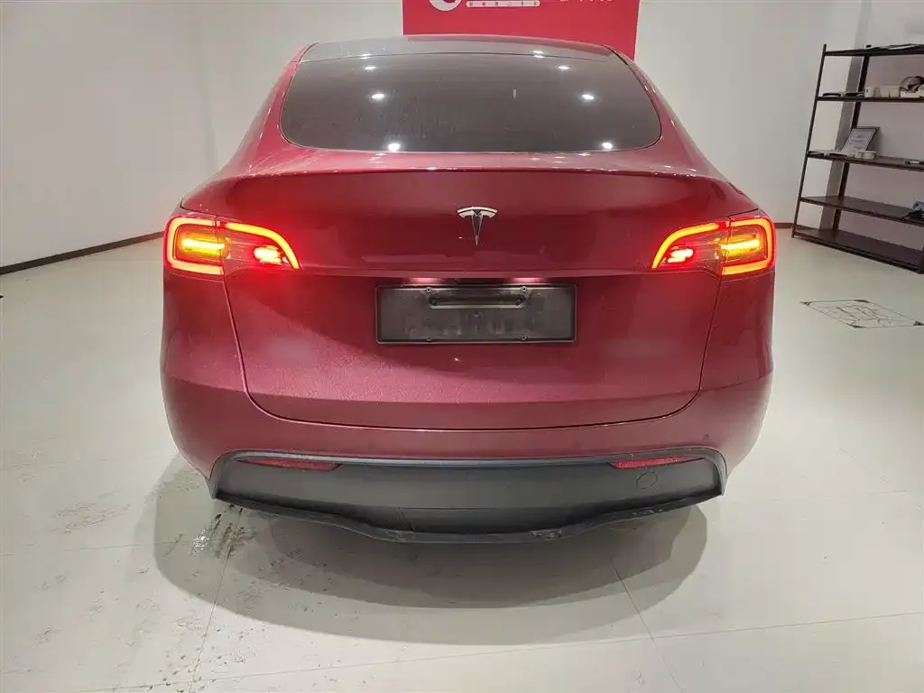 Tesla Model Y 2021 из CN, фото 6