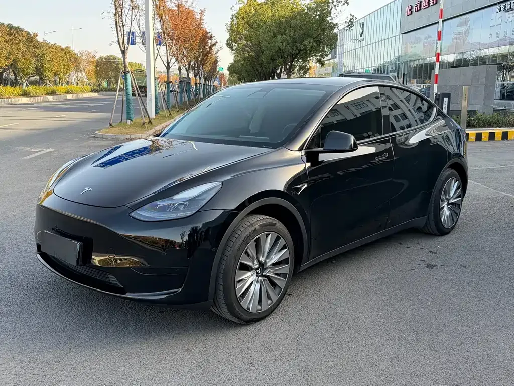 Tesla Model Y 2024 из CN, фото 1