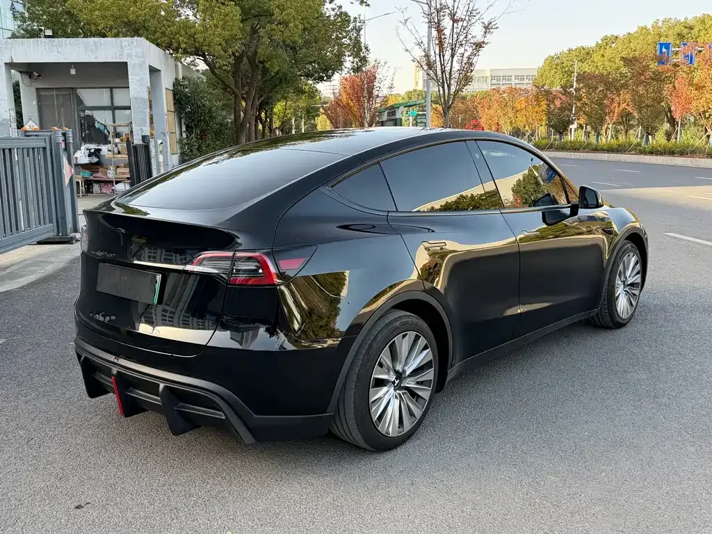 Tesla Model Y 2024 из CN, фото 5
