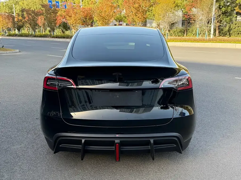 Tesla Model Y 2024 из CN, фото 6