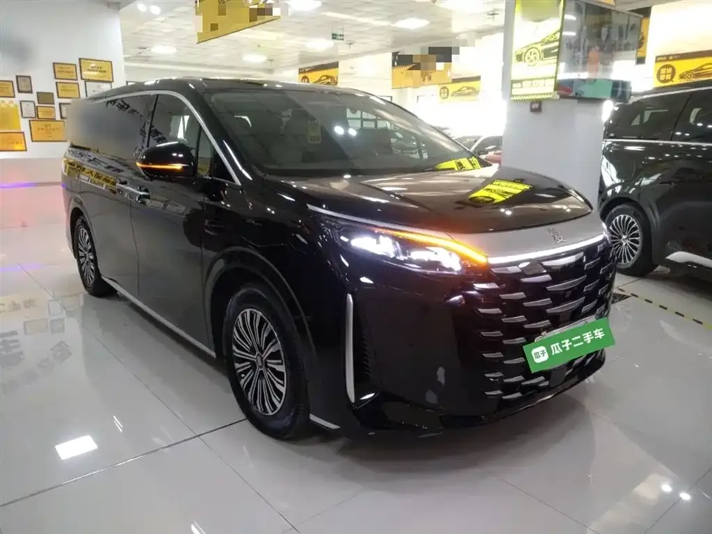 BYD Xia 2025 из CN, фото 4