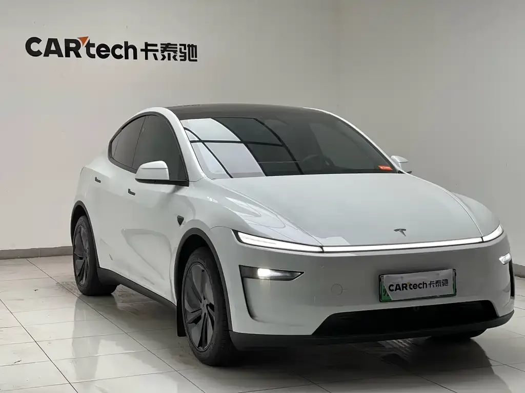 Tesla Model Y — фото 8