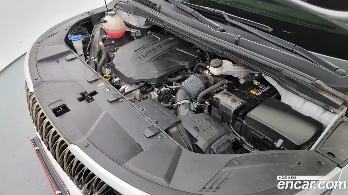 [object Object] Canival 2021 из KR, фото 6