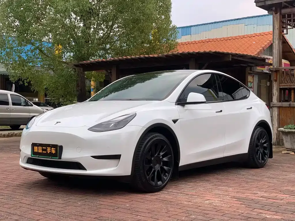 Tesla Model Y 2023 из CN, фото 1