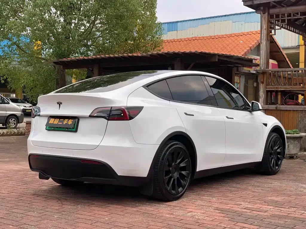 Tesla Model Y 2023 из CN, фото 10