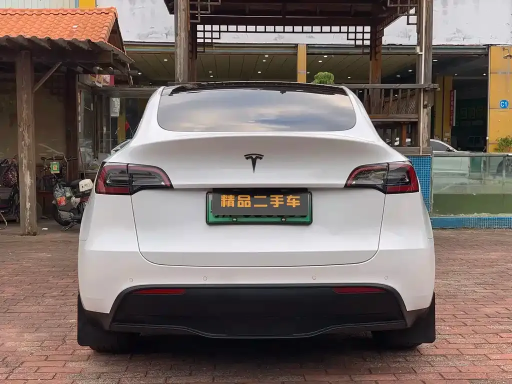 Tesla Model Y 2023 из CN, фото 2