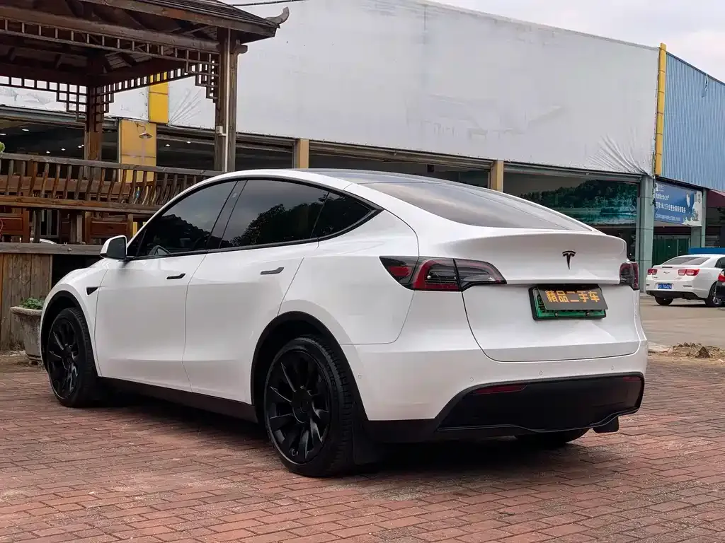 Tesla Model Y 2023 из CN, фото 9