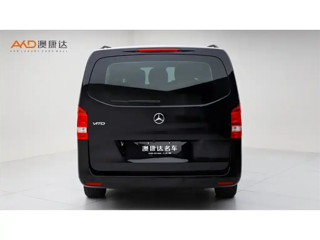Mercedes-Benz Vito 2024 из CN, фото 4