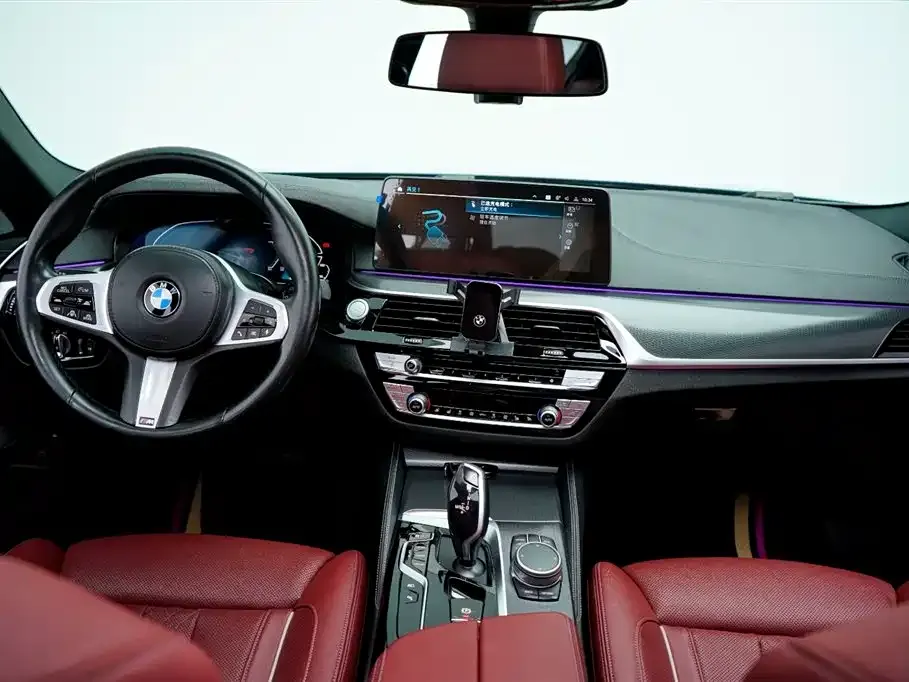 BMW 5 Series New Energy 2021 из CN, фото 3