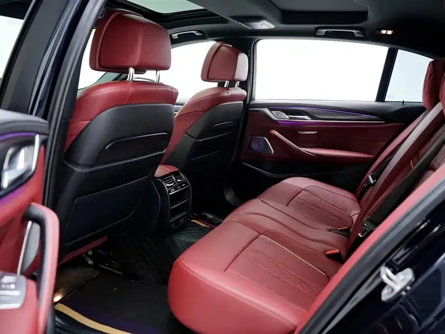 BMW 5 Series New Energy 2021 из CN, фото 6