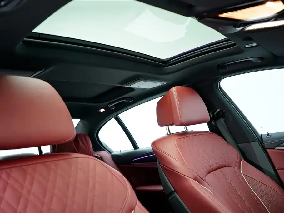 BMW 5 Series New Energy 2021 из CN, фото 9