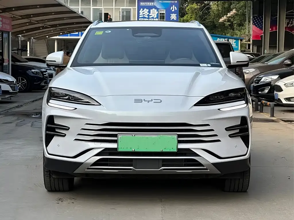 BYD PLUS New Energy — фото 2