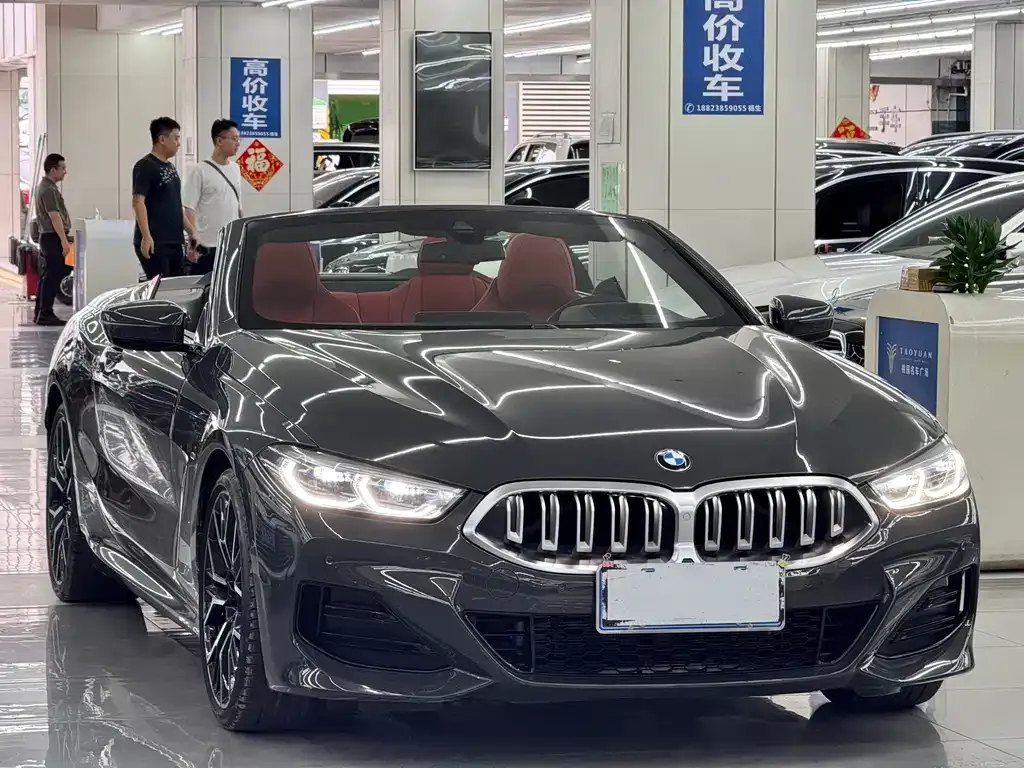 BMW 8 Series 2024 из CN, фото 3